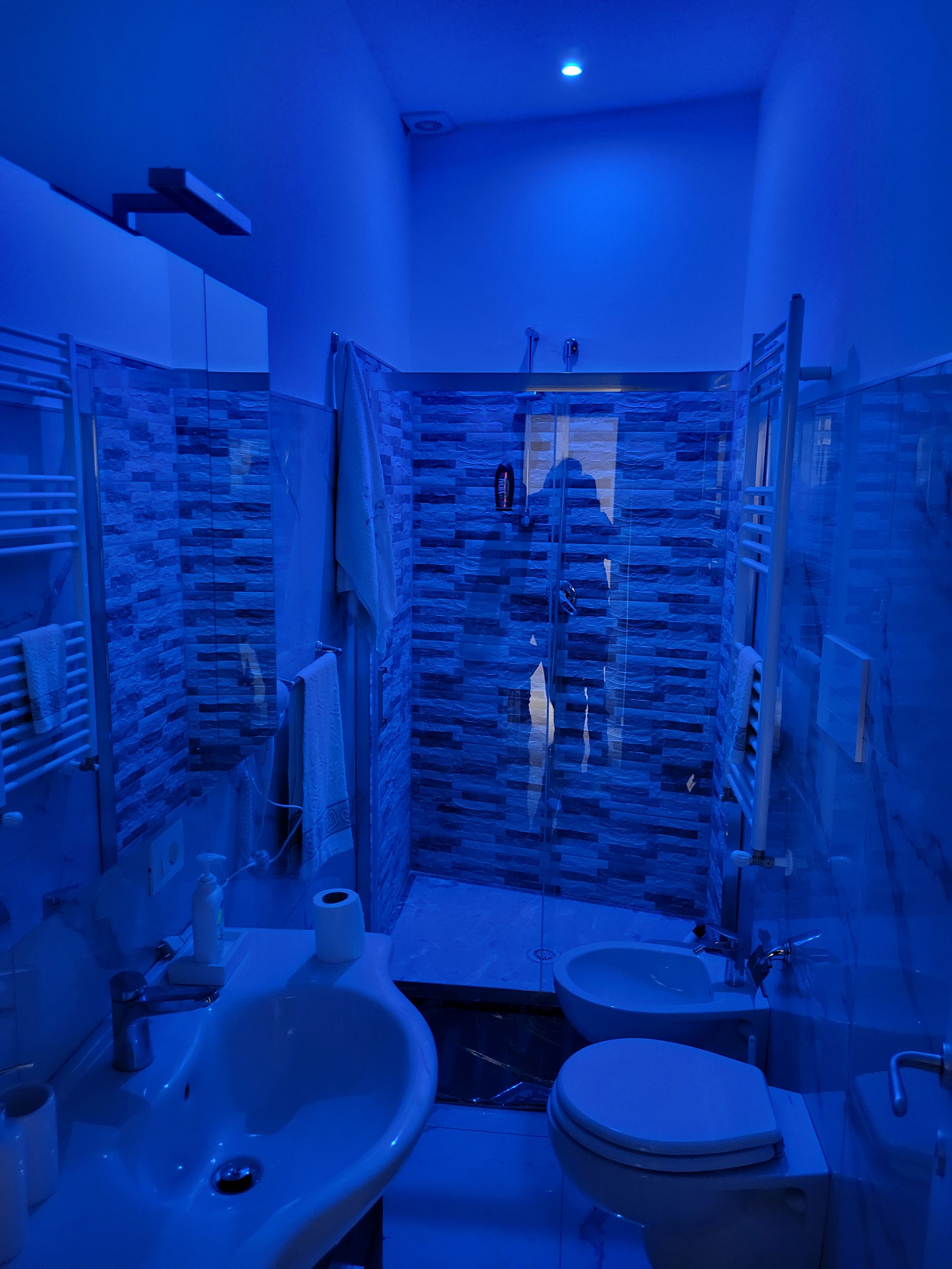 A bathroom with a glass shower enclosure, a white sink, and a toilet.