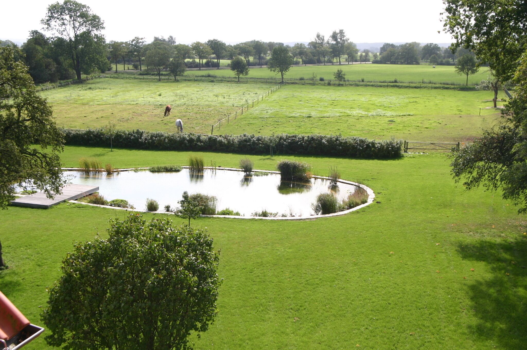 Een gazon met een vijver, bomen en een zichtbaar veld met een persoon in de verte.