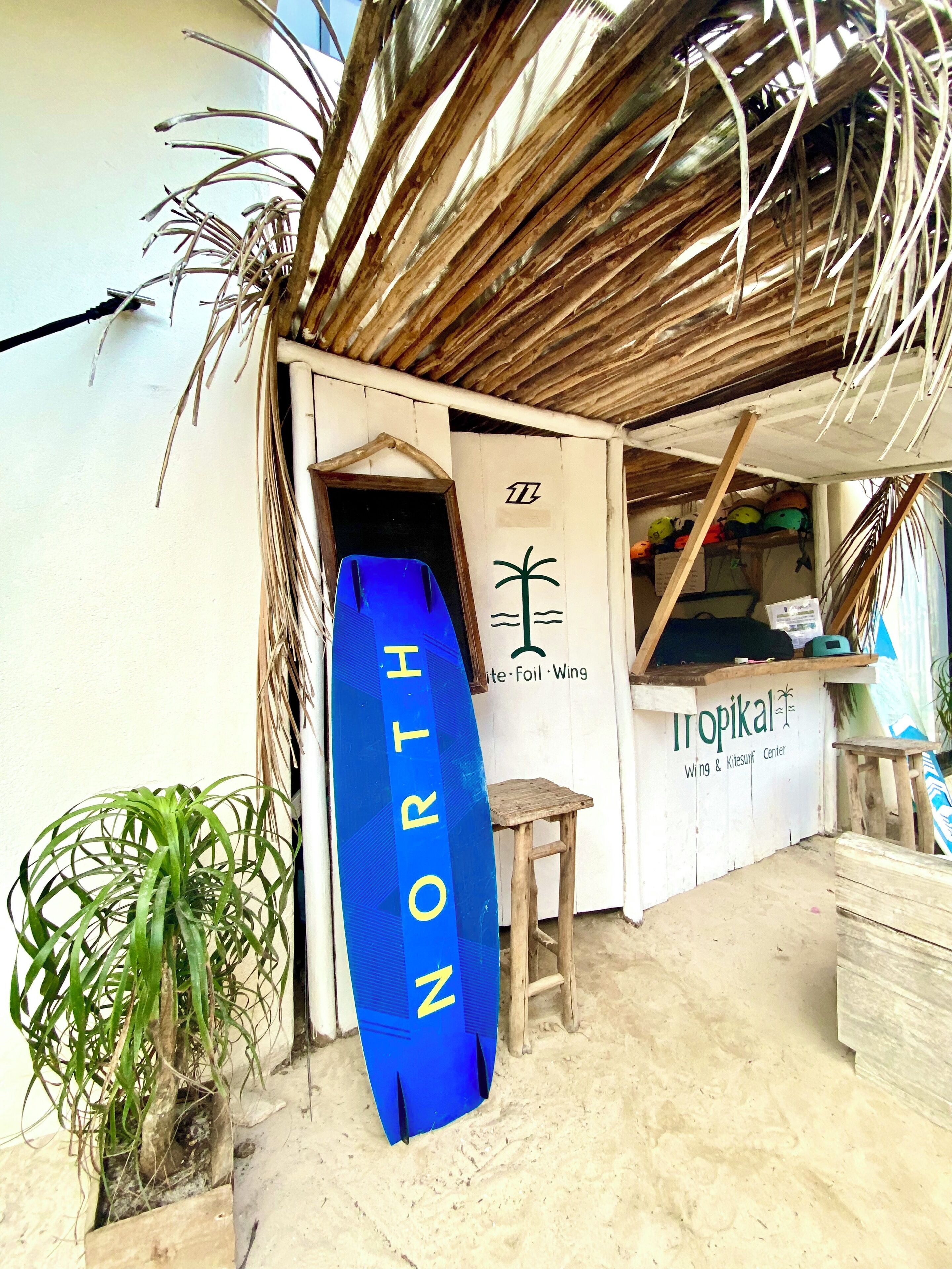 Surf o boogie board
