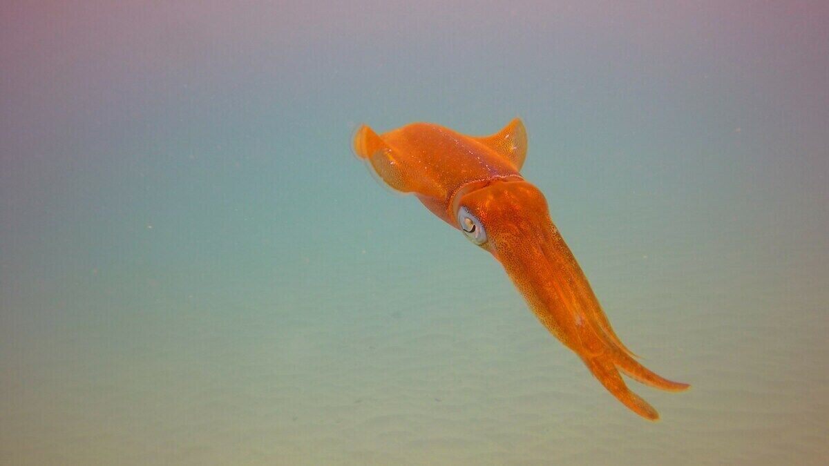 海滩