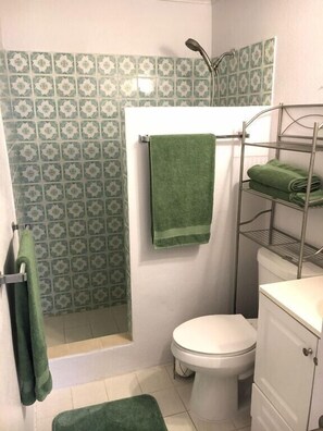 Shower, hair dryer, towels, soap