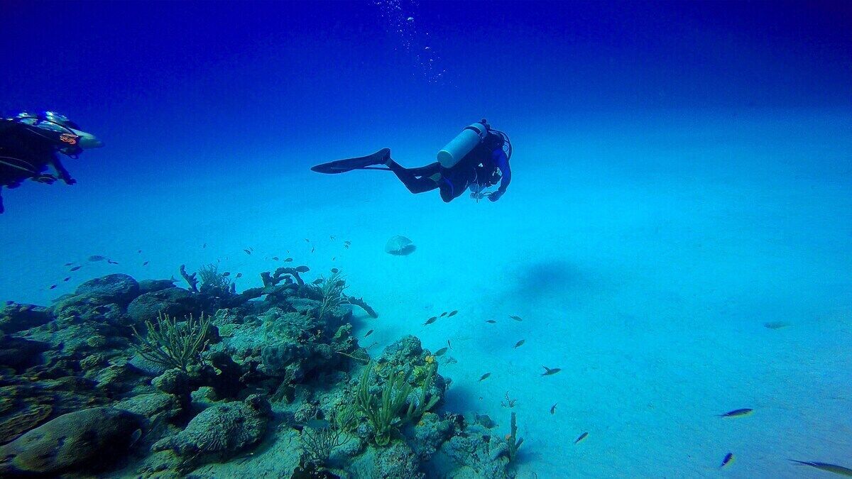 An underwater scene with a diver and another diver in the background, surrounded by marine life and coral formations.