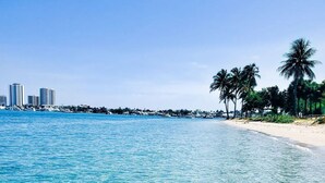 A clear turquoise sea with a sandy beach and palm trees. - The Place (North Palm Beach)