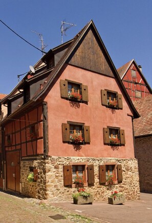 Exterior - L'Alsacienne - cosy gite (Eguisheim)