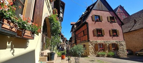 L'Alsacienne - cosy gite