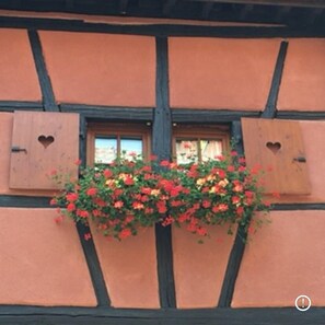 Exterior detail - L'Alsacienne - cosy gite (Eguisheim)