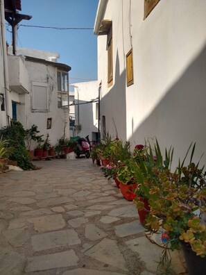 Stroll through this serene courtyard surrounded by potted plants and simple buildings.
