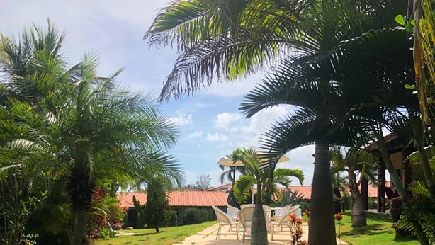 Un jardín bien cuidado con palmeras, un patio con sillas y un cielo despejado.