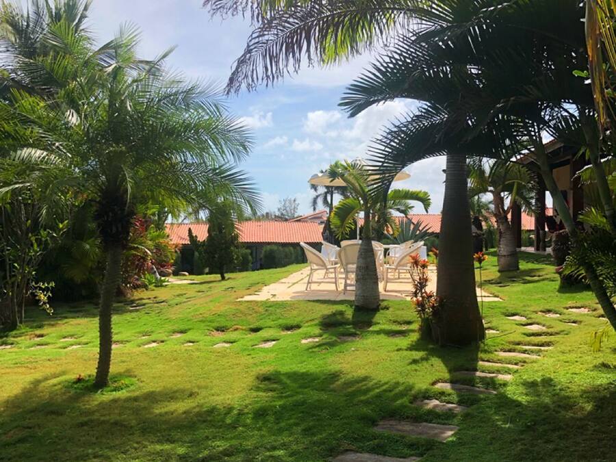 Um jardim bem cuidado, com palmeiras, um espaço de pátio com cadeiras e céu claro.