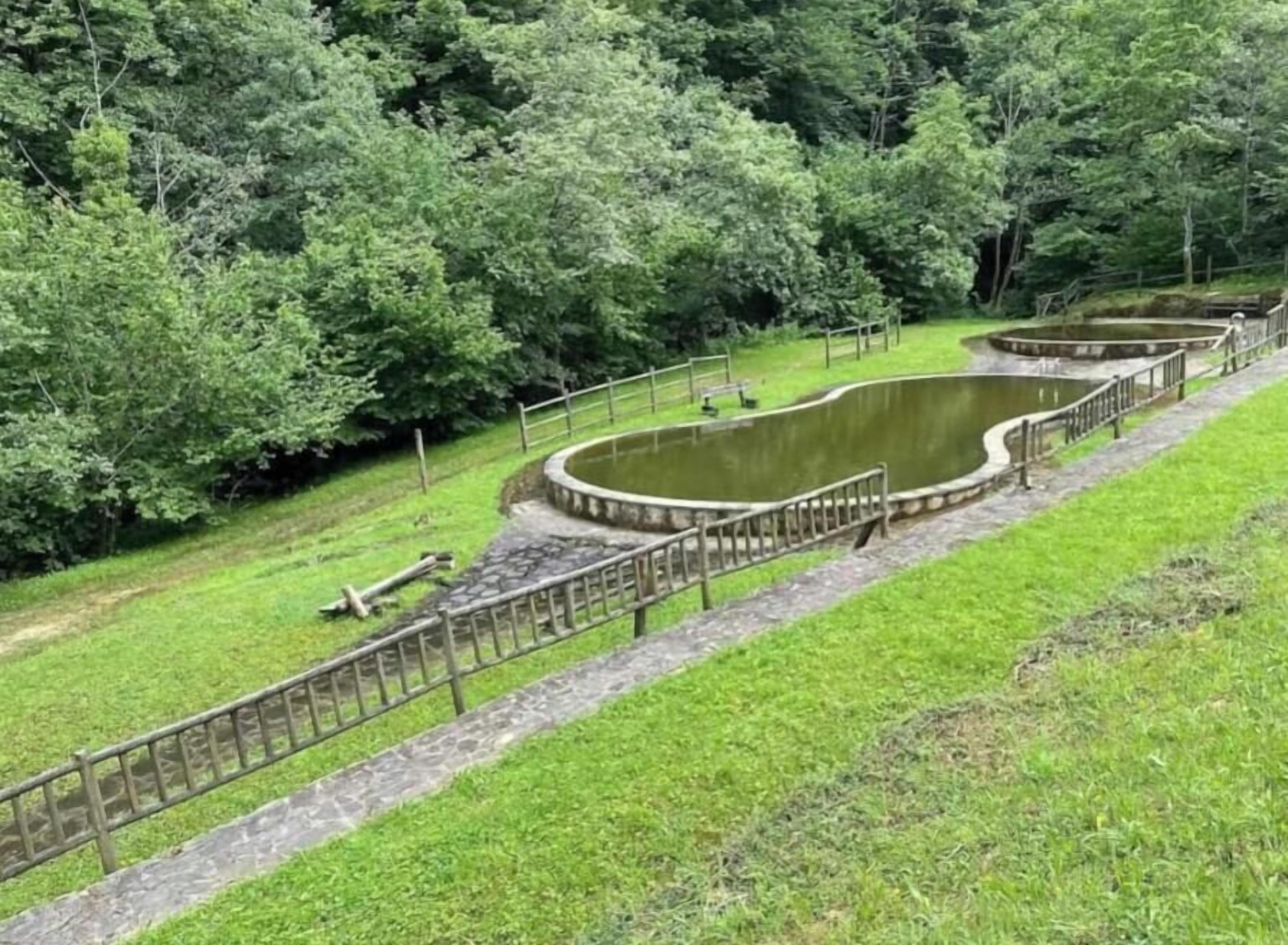 Enceinte de l’hébergement