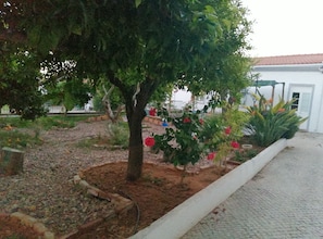 Terrace/patio - Pias Guesthouse (Serpa)