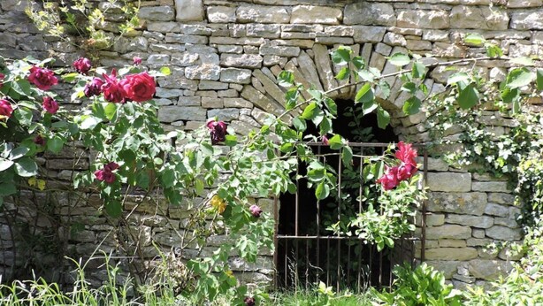 A stone wall with a metal gate and flowering plants.