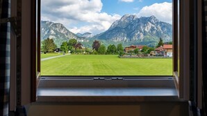 Une fenêtre donnant sur un champ verdoyant, des arbres et des montagnes.