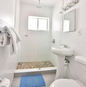 Shower, hair dryer, towels