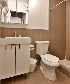 Shower, hair dryer, towels