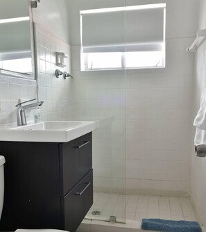 Shower, hair dryer, towels