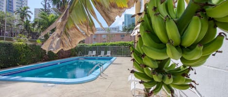 A swimming pool with a palm tree and a bunch of bananas in the foreground.