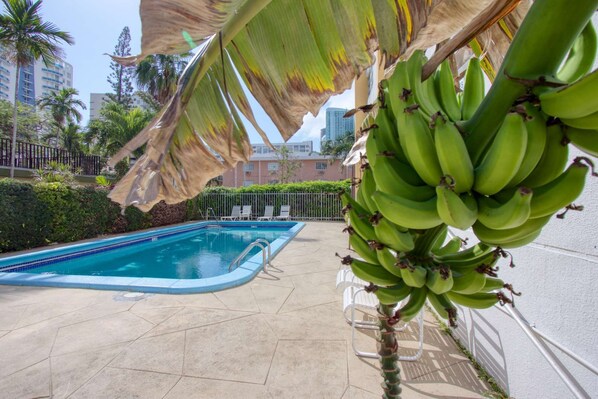 A swimming pool with a palm tree and a bunch of bananas in the foreground.