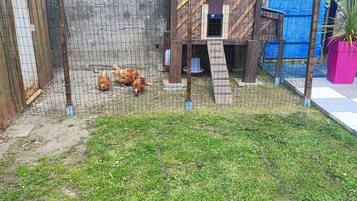 Enceinte de lâhĂ©bergement