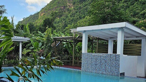 A swimming pool with a tiled edge, surrounded by a wooden deck and lush greenery.