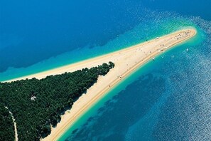 Lettini da mare