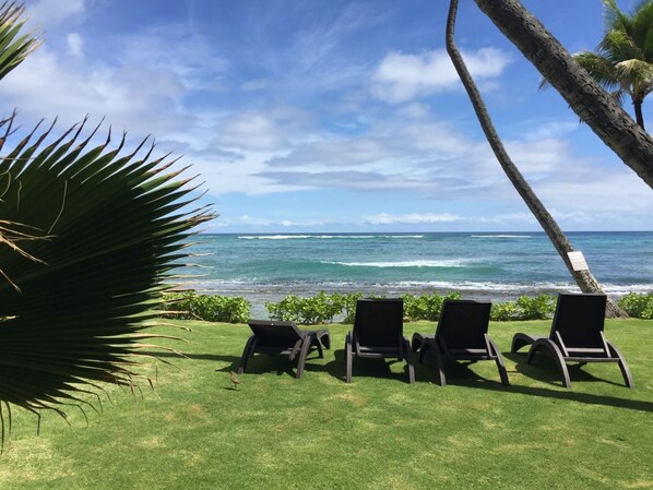 Property grounds - Kauai Kailani 217 Beautiful Air Conditioned 2 Bedroom Condo in Kapaa. (Kapaʻa)