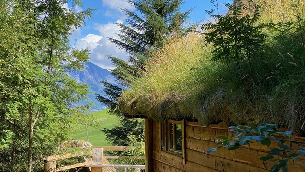 Une cabane en bois avec un toit de chaume, entourée d’une végétation luxuriante et dotée d’une terrasse en bois menant à une fenêtre.
