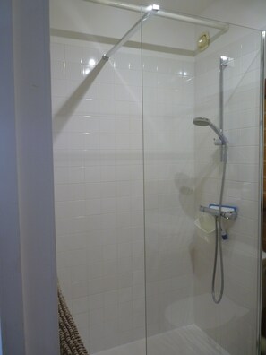 Shower, hair dryer, toilet paper