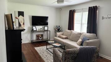 TV connectée, cheminée, livres