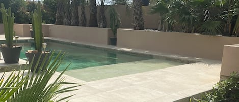 A swimming pool surrounded by palm trees and cacti, with a stone pathway leading to it.