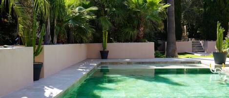 A rectangular swimming pool with clear water, surrounded by a low wall and potted plants.