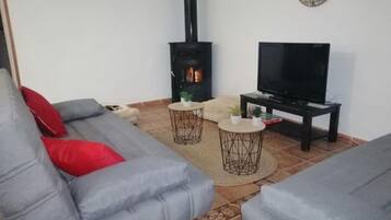 Smart TV, fireplace, books, printers