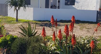 Best selfcatering cottage in Paternoster. Two bedrooms, family room. Dream stay.