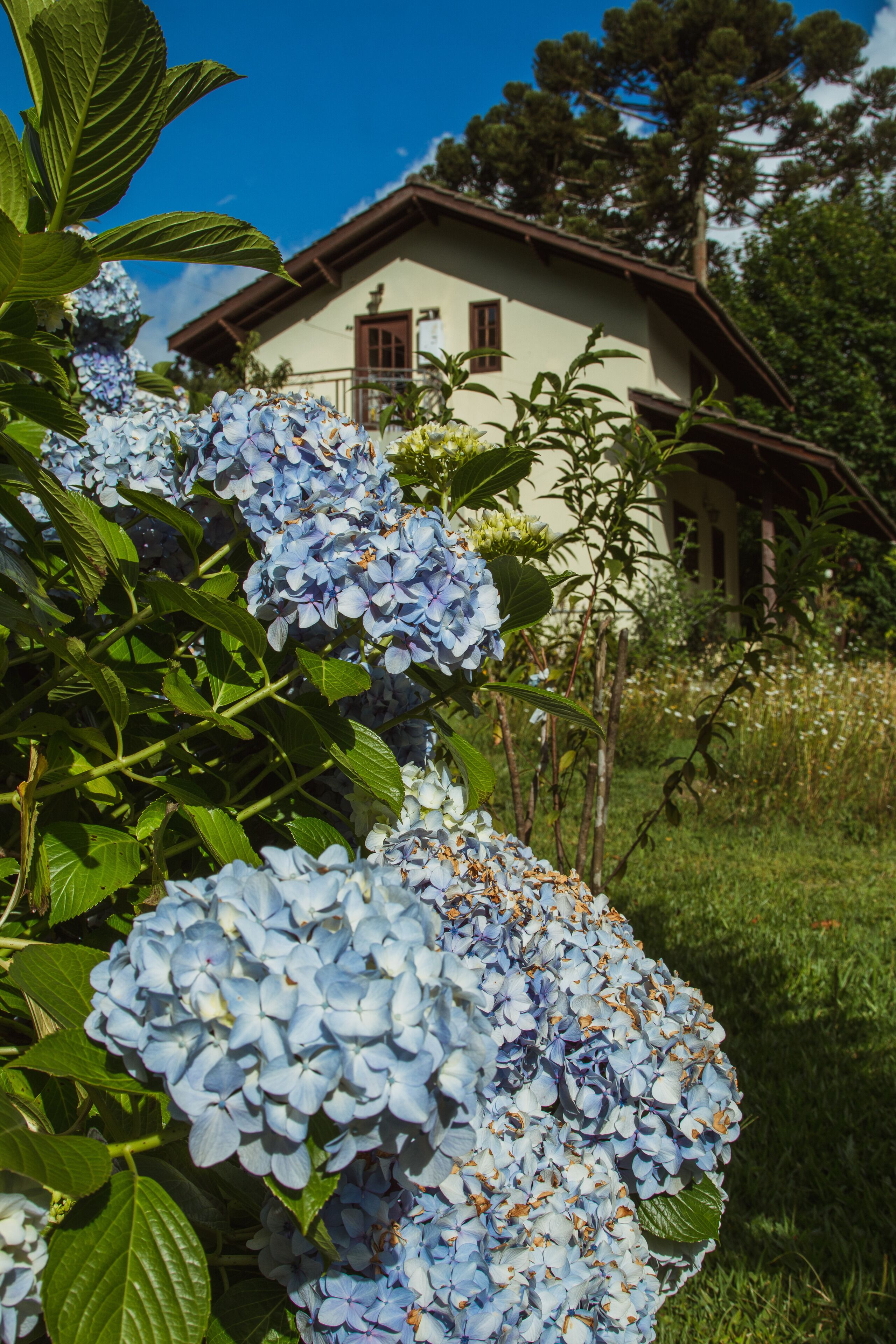 Photo - Pousada Medeiros