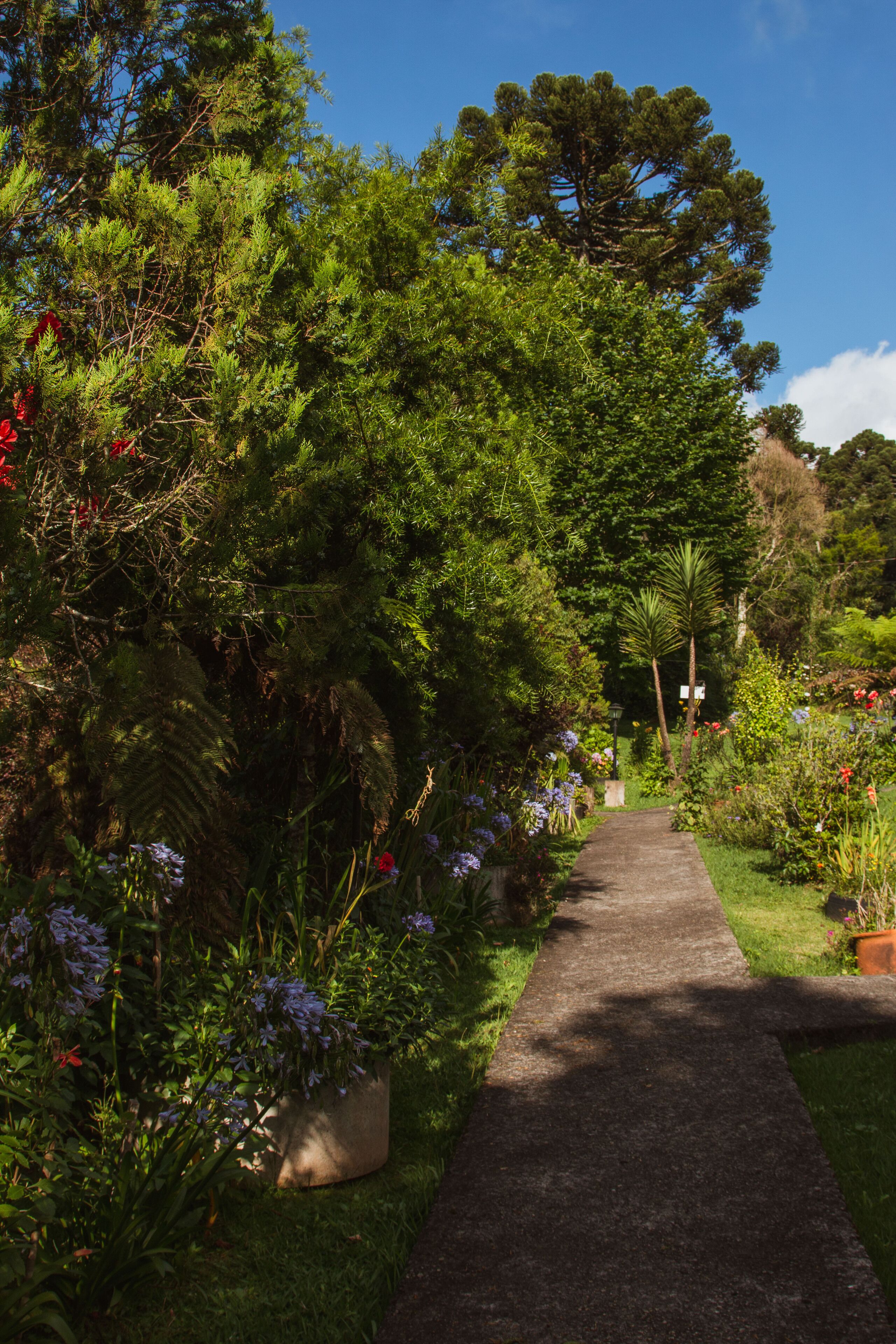 Photo - Pousada Medeiros