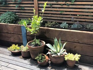 Property grounds - Light-Filled Escape: Your Home Away From Home (Aptos)