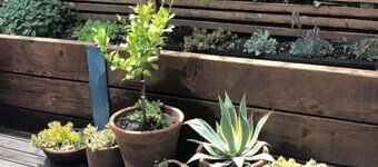 Light-Filled Escape: Your Home Away From Home