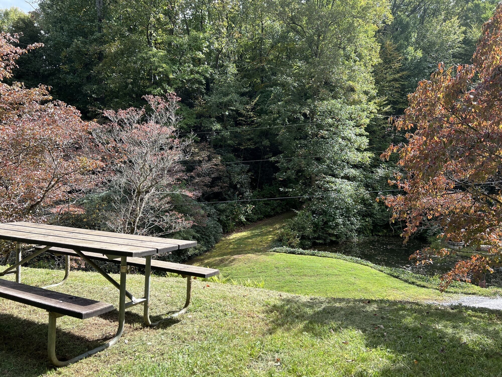 Restauration en plein air