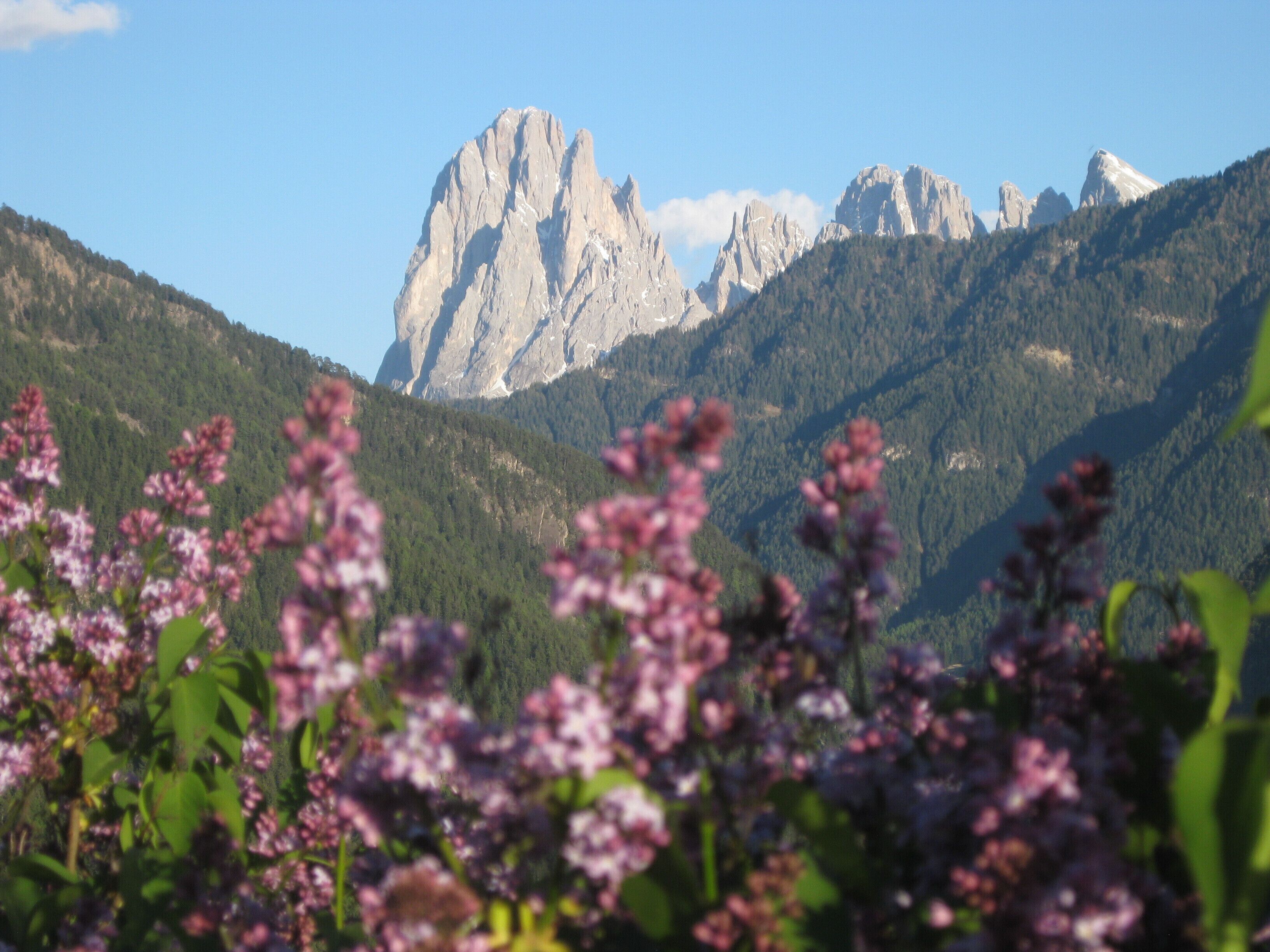 Paesaggio montuoso con cime rocciose e fitte zone boschive.