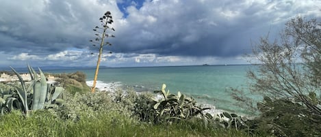 海滩