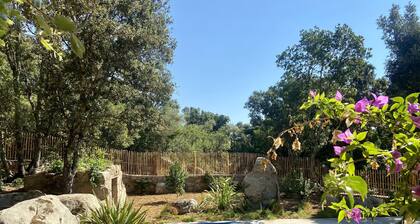 bergerie de charme, piscine chauffée, jardin méditerranéen paysagé