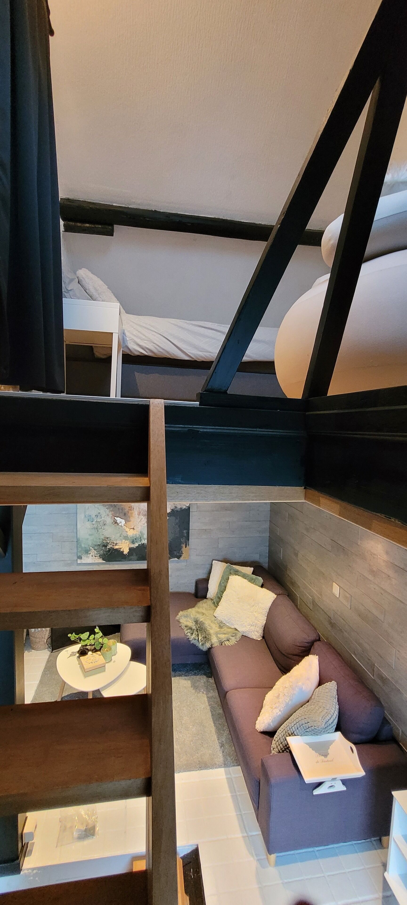 Ein kompakter Raum mit einem Etagenbett, einer Schlafcouch, einem kleinen Tisch mit Pflanze und einem an der Wand befestigten Regal.