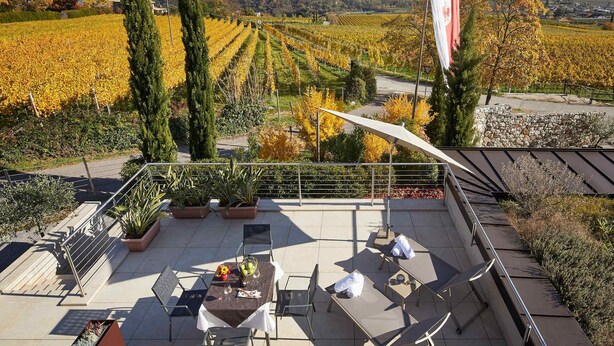 A terrace with outdoor seating and a view of vineyards.