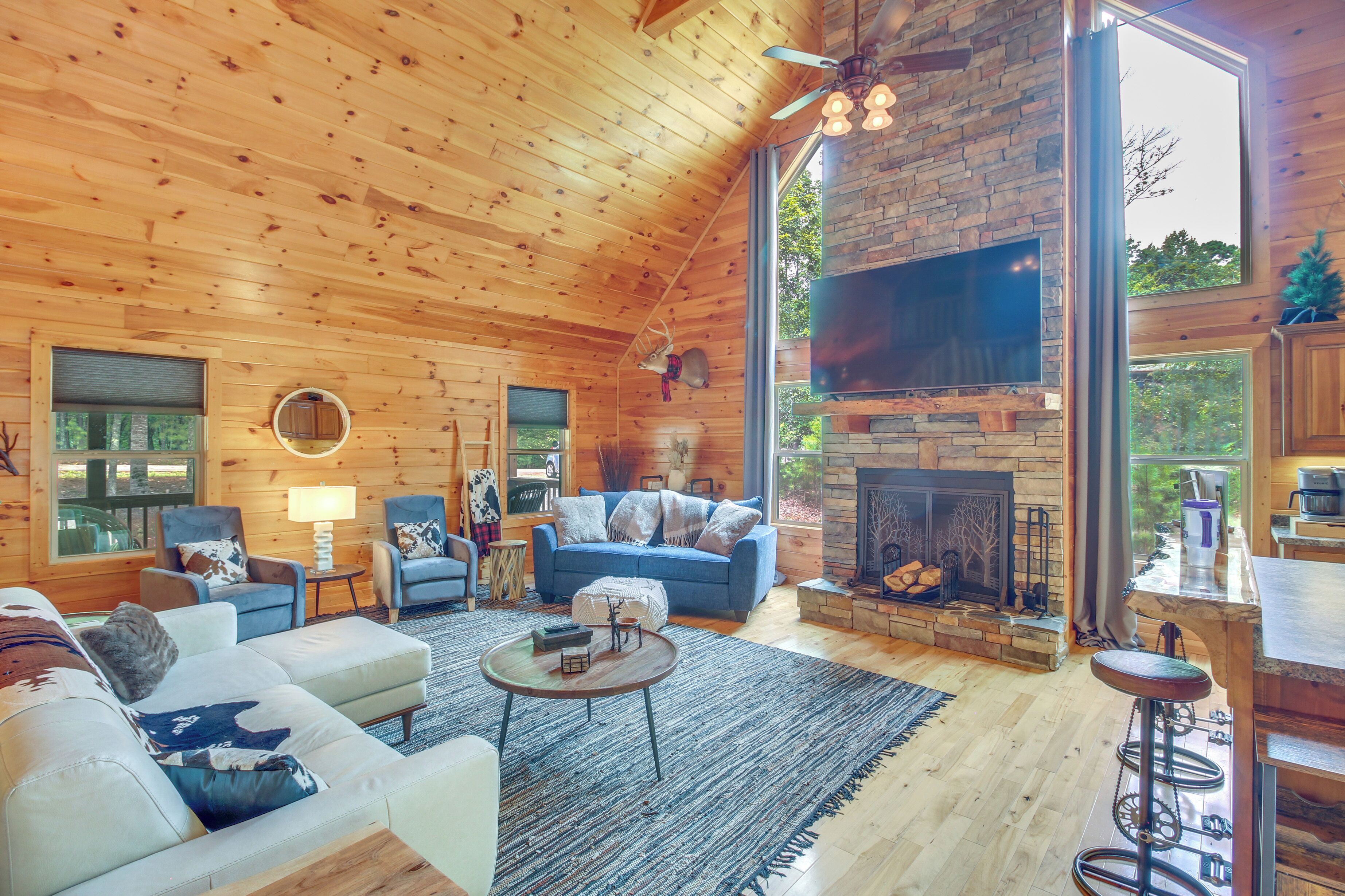 TV, fireplace, books