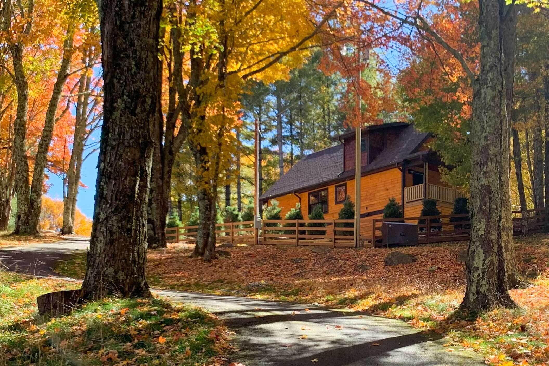 A rustic cabin surrounded by tall trees with autumn foliage, a wooden deck, and a clear sky.