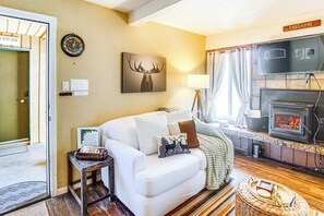 TV, fireplace, books