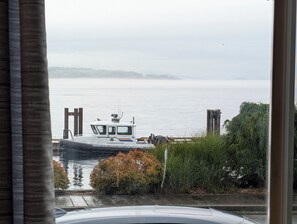 A view of a river with a boat docked at a pier, surrounded by greenery and a cloudy sky.