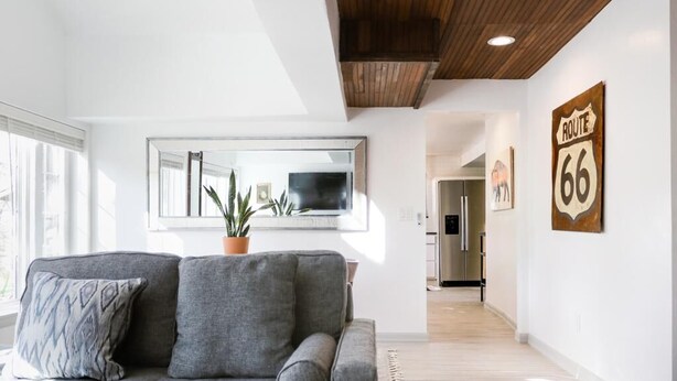 A modern living room with a grey sofa, a large window, a potted plant, and a wall-mounted TV.