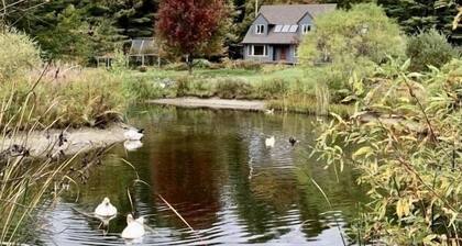Large Mountainside Home w/ Pond by Smugglers Notch!