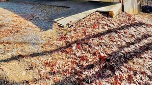 Une cabane rustique avec une porte rouge et un toit en métal, entourée d’arbres et d’un sol recouvert de feuilles.